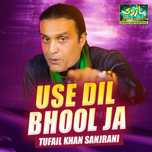 Use Dil Bhool Ja