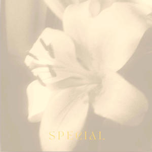 Special (feat. Yama//sato)
