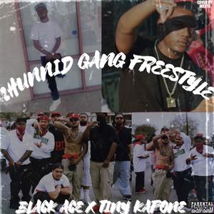 2Hunnid Gang Freestyle (feat. Black Ace) [Explicit]