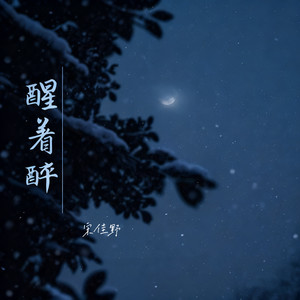 醒着醉 (摇滚版)