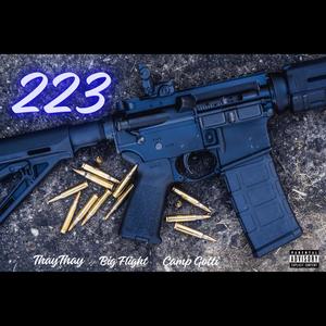 223 (feat. Big Flight & Thay Thay) [Explicit]