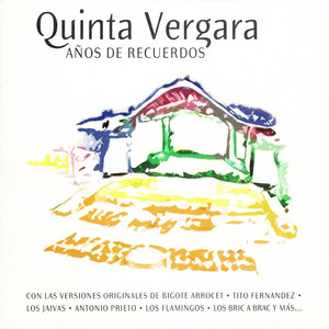 Quinta Vergara Años De Recuerdo