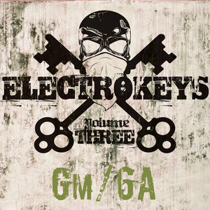 Electro Keys Gm/6a Vol 3