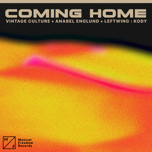 Coming Home (feat. Anabel Englund) (Extended Mix)