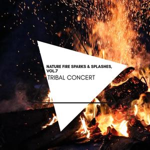 Tribal Concert - Nature Fire Sparks & Splashes, Vol.7