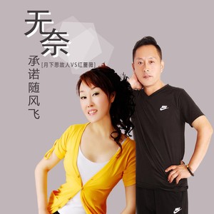 无奈承诺随风飞封面