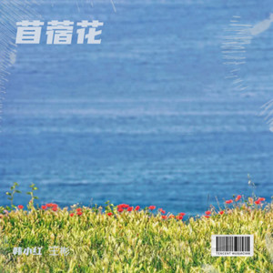 苜蓿花 (伴奏)