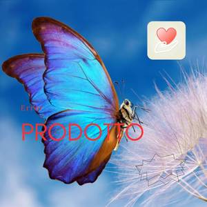 Caldonazzo (Explicit)