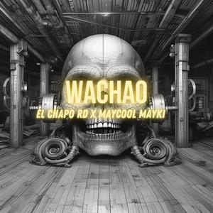 wachao (feat. maycool mayki)