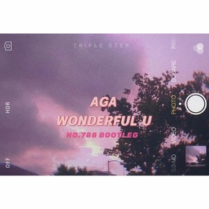 NO.788 - Wonderful U (remix: AGA)
