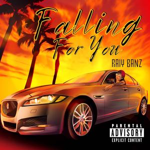 Just For The Record (Explicit)