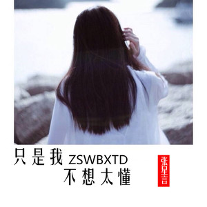 只是我不想太懂