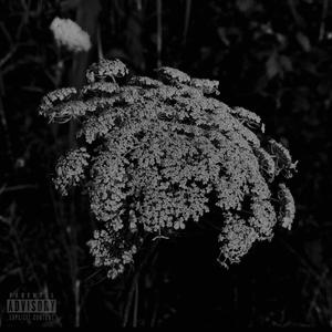 Flowers When The Rain Gone (feat. Mijo & twoTurbo) (Explicit)