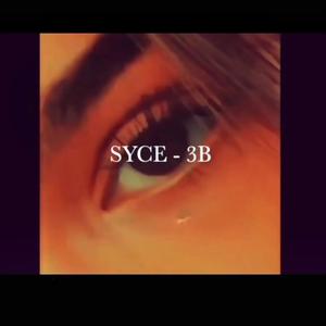 3B (syce)