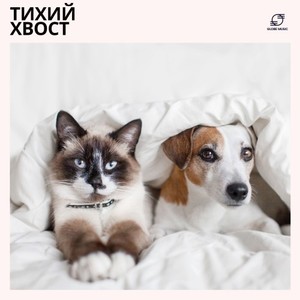 Шелковый Сон