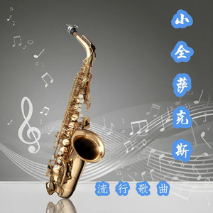 小全萨克斯 - 一半疯了一半醉了（萨克斯）