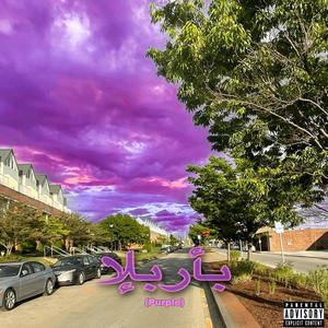 Purple (Explicit)