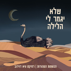 שלא יגמר לי הלילה (Remix)