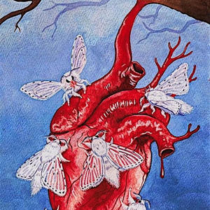 Lenci - deranged (Explicit)