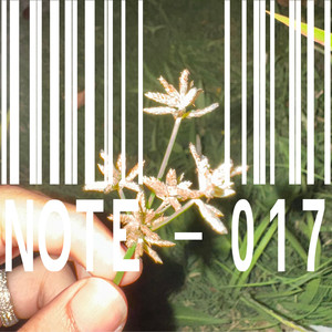 บันทึก (NOTE-017)