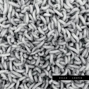 Gli Amici Del Looppolo (feat. C Moe & Zunami) (Explicit)