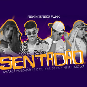 Sentadão(feat. Dj Rapunzel & Mc Lya)(Brega Funk)