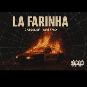 FARINHA (feat. CATESDSF) (Explicit)