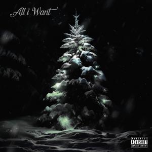 All I Want (Explicit)