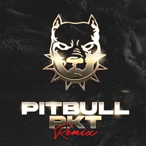 Pitbull Rkt [feat. Pastel, Giankaa & Fʟᴀᴋ'00] (Remix)