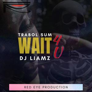 Wait 4 U(feat. Dj Liamz)