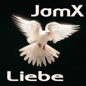 Liebe (Nick Larson Mix)