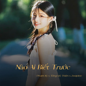 Nào Ai Biết Trước (Lofi)