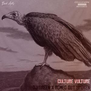 Culture Vulture (feat. Romeo Out Spoken) [Explicit]