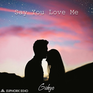 Say You Love Me