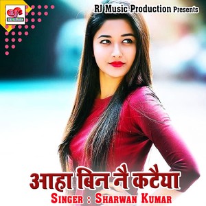 Aaha Bin Nai Kataiya