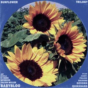 THE SUNFLOWER TRILOGY (Explicit)