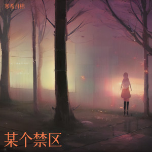 某个禁区