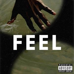 FEEL (Explicit)