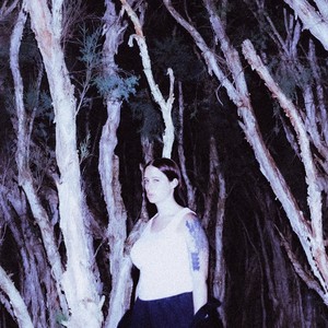 Deer Stomps Its Hooves In Warning