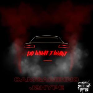 Do What I Want (feat. J2Hype) [Explicit]