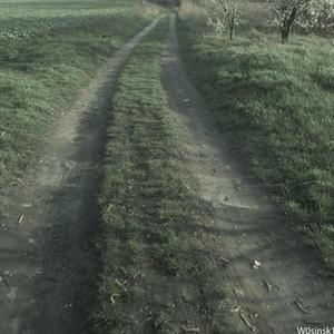 Road to Nowhere