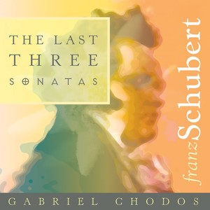 Piano Sonata No. 19 in C Minor, D. 958 - Piano Sonata No. 19 in C Minor, D. 958: I. Allegro