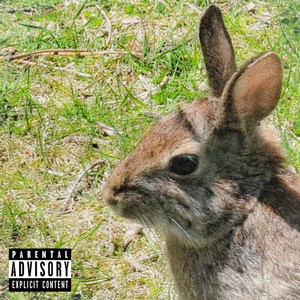 Wabbit Season Freestyle (Explicit)