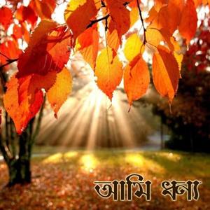 Ami Dhonno
