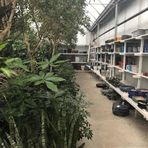 all of the time (Explicit)