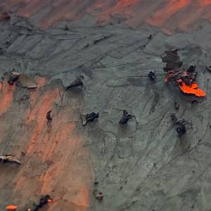 그래 이거 네 노래야 (是啊 这是你的歌啊)