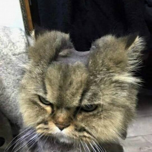 全体起立  (Original Mix)