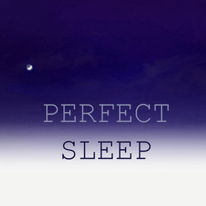 Perfect Sleep - The Best Night of Sleep You Will Ever Experience