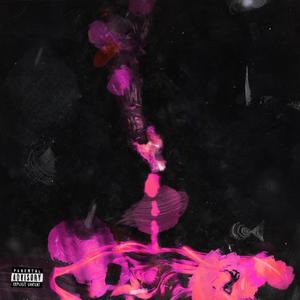 AR (feat. Tesla) (Explicit)