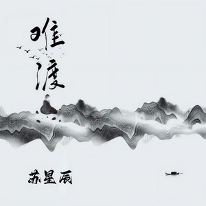 难渡 (DJ苏星辰版)封面